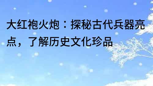 大紅袍火炮：探秘古代兵器亮點，了解歷史文化珍品