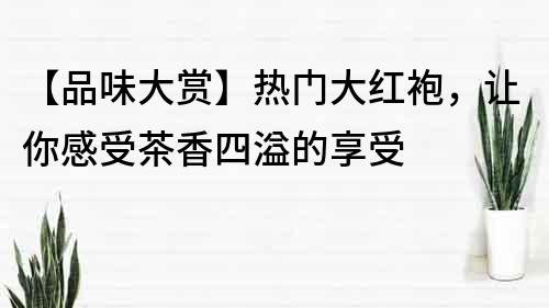 【品味大賞】熱門大紅袍，讓你感受茶香四溢的享受