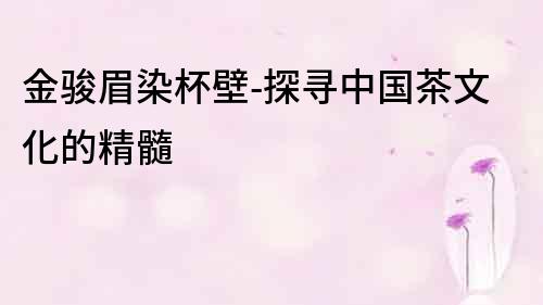 金駿眉染杯壁-探尋中國茶文化的精髓