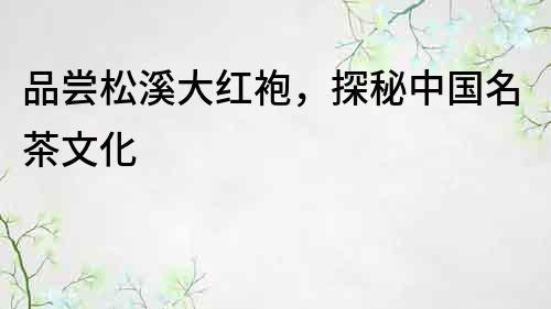 品嘗松溪大紅袍，探秘中國名茶文化