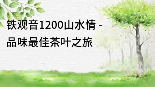鐵觀音1200山水情 - 品味最佳茶葉之旅
