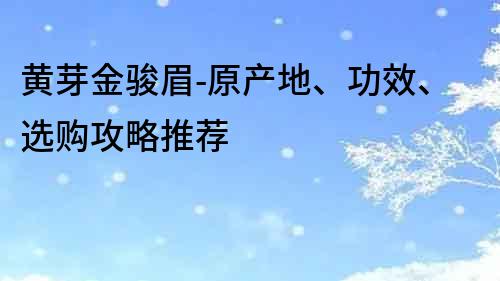 黃芽金駿眉-原產(chǎn)地、功效、選購(gòu)攻略推薦
