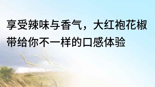 享受辣味與香氣，大紅袍花椒帶給你不一樣的口感體驗