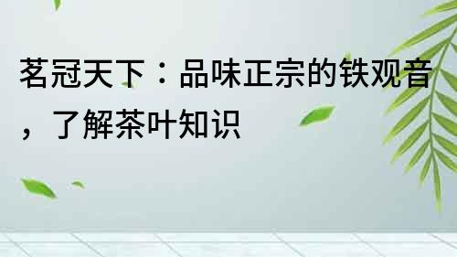 茗冠天下：品味正宗的鐵觀音，了解茶葉知識