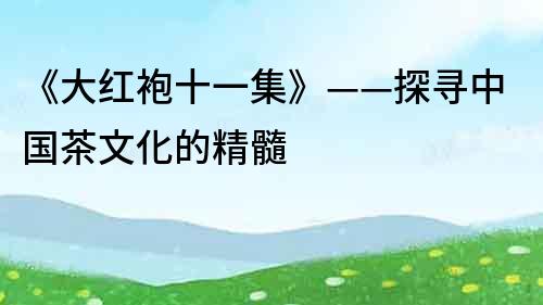 《大紅袍十一集》——探尋中國茶文化的精髓