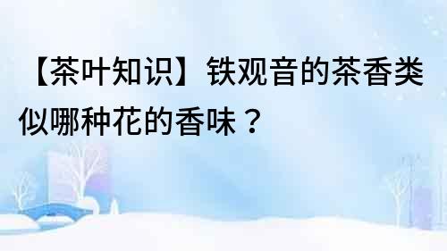 【茶葉知識】鐵觀音的茶香類似哪種花的香味？