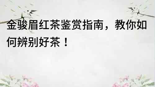 金駿眉紅茶鑒賞指南，教你如何辨別好茶！