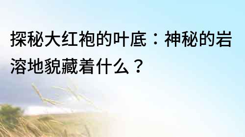 探秘大紅袍的葉底：神秘的巖溶地貌藏著什么？