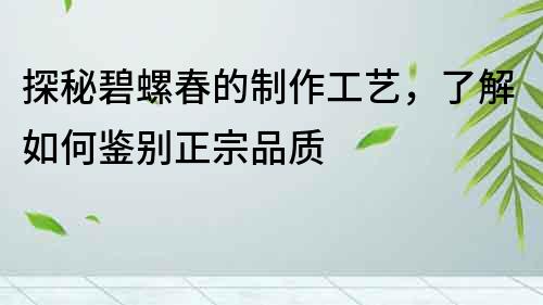 探秘碧螺春的制作工藝，了解如何鑒別正宗品質