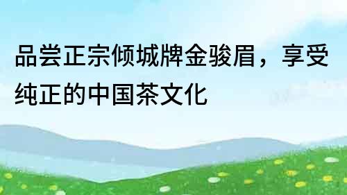 品嘗正宗傾城牌金駿眉，享受純正的中國茶文化
