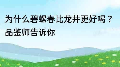 為什么碧螺春比龍井更好喝？品鑒師告訴你