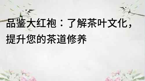 品鑒大紅袍：了解茶葉文化，提升您的茶道修養