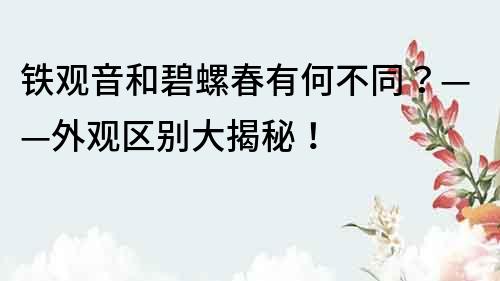鐵觀音和碧螺春有何不同？——外觀區(qū)別大揭秘！