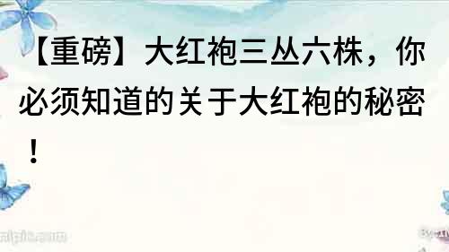 【重磅】大紅袍三叢六株，你必須知道的關(guān)于大紅袍的秘密！
