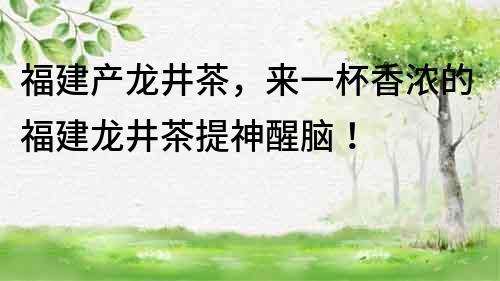 福建產龍井茶，來一杯香濃的福建龍井茶提神醒腦！
