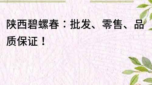 陜西碧螺春：批發、零售、品質保證！