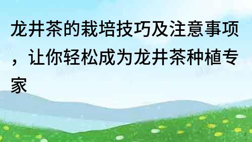 龍井茶的栽培技巧及注意事項，讓你輕松成為龍井茶種植專家
