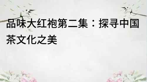 品味大紅袍第二集：探尋中國茶文化之美