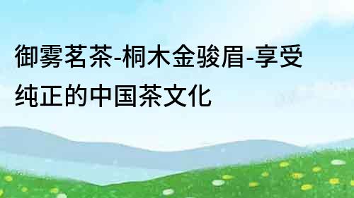 御霧茗茶-桐木金駿眉-享受純正的中國茶文化