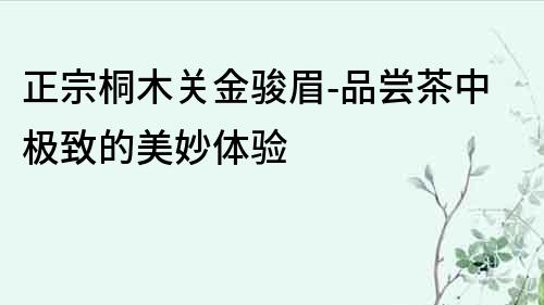 正宗桐木關(guān)金駿眉-品嘗茶中極致的美妙體驗(yàn)