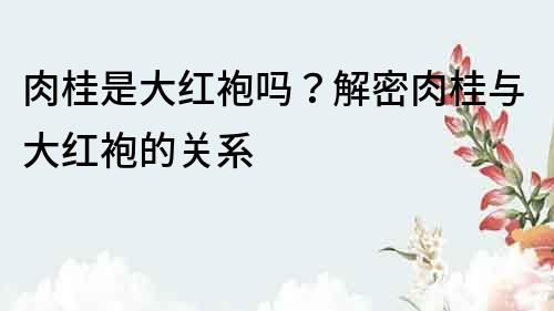 肉桂是大紅袍嗎？解密肉桂與大紅袍的關系