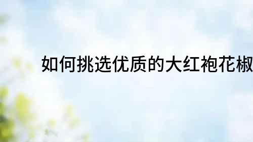 如何挑選優質的大紅袍花椒？