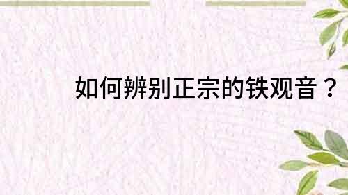如何辨別正宗的鐵觀音？