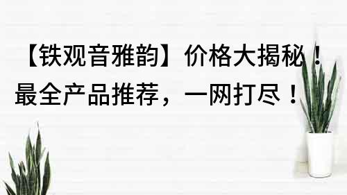 【鐵觀音雅韻】價格大揭秘！最全產(chǎn)品推薦，一網(wǎng)打盡！