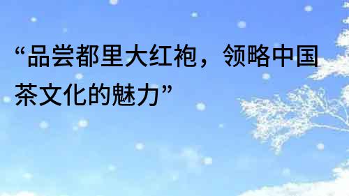 “品嘗都里大紅袍，領略中國茶文化的魅力”