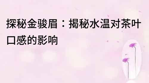 探秘金駿眉：揭秘水溫對茶葉口感的影響