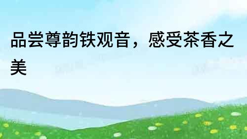 品嘗尊韻鐵觀音，感受茶香之美