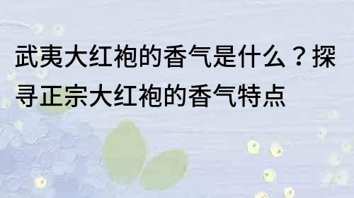 武夷大紅袍的香氣是什么？探尋正宗大紅袍的香氣特點