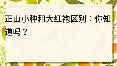 正山小種和大紅袍區(qū)別：你知道嗎？