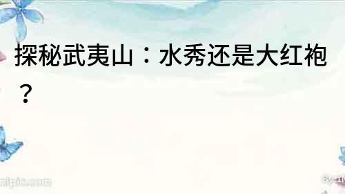 探秘武夷山：水秀還是大紅袍？