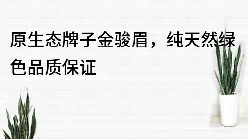 原生態牌子金駿眉，純天然綠色品質保證