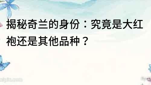 揭秘奇蘭的身份：究竟是大紅袍還是其他品種？