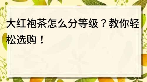 大紅袍茶怎么分等級(jí)？教你輕松選購(gòu)！