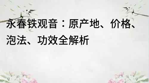 永春鐵觀音：原產(chǎn)地、價格、泡法、功效全解析