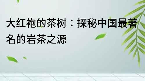 大紅袍的茶樹：探秘中國最著名的巖茶之源