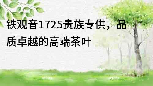 鐵觀音1725貴族專(zhuān)供，品質(zhì)卓越的高端茶葉