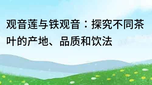 觀音蓮與鐵觀音：探究不同茶葉的產地、品質和飲法