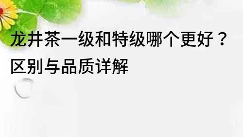 龍井茶一級和特級哪個更好？區別與品質詳解