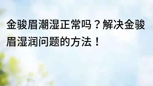 金駿眉潮濕正常嗎？解決金駿眉濕潤問題的方法！