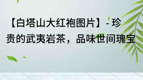 【白塔山大紅袍圖片】- 珍貴的武夷巖茶，品味世間瑰寶