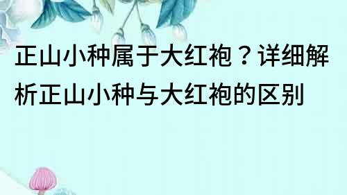 正山小種屬于大紅袍？詳細解析正山小種與大紅袍的區別