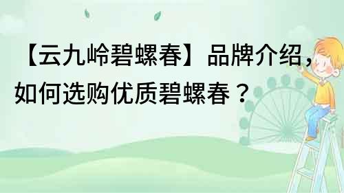 【云九嶺碧螺春】品牌介紹，如何選購優(yōu)質(zhì)碧螺春？