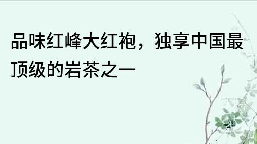 品味紅峰大紅袍，獨享中國最頂級的巖茶之一