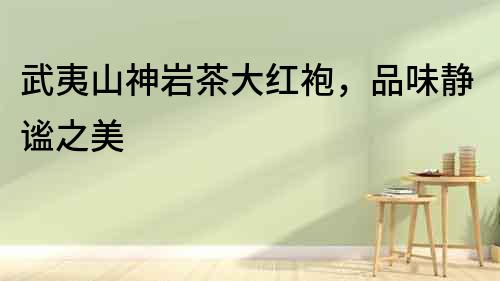武夷山神巖茶大紅袍，品味靜謐之美