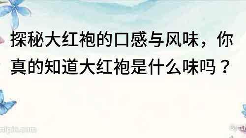 探秘大紅袍的口感與風(fēng)味，你真的知道大紅袍是什么味嗎？