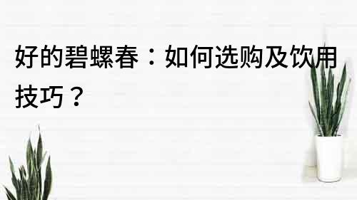 好的碧螺春：如何選購及飲用技巧？